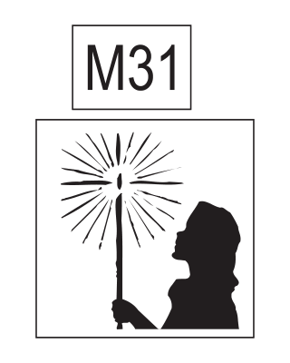 M31