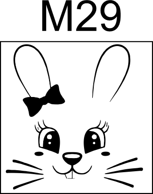 M29