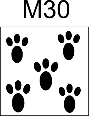 M30